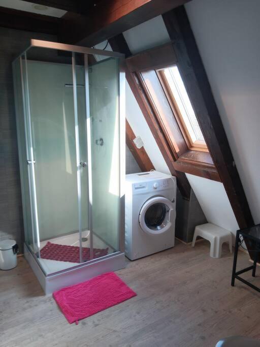 Gite Les Papillons Ribeauvillé Exteriér fotografie