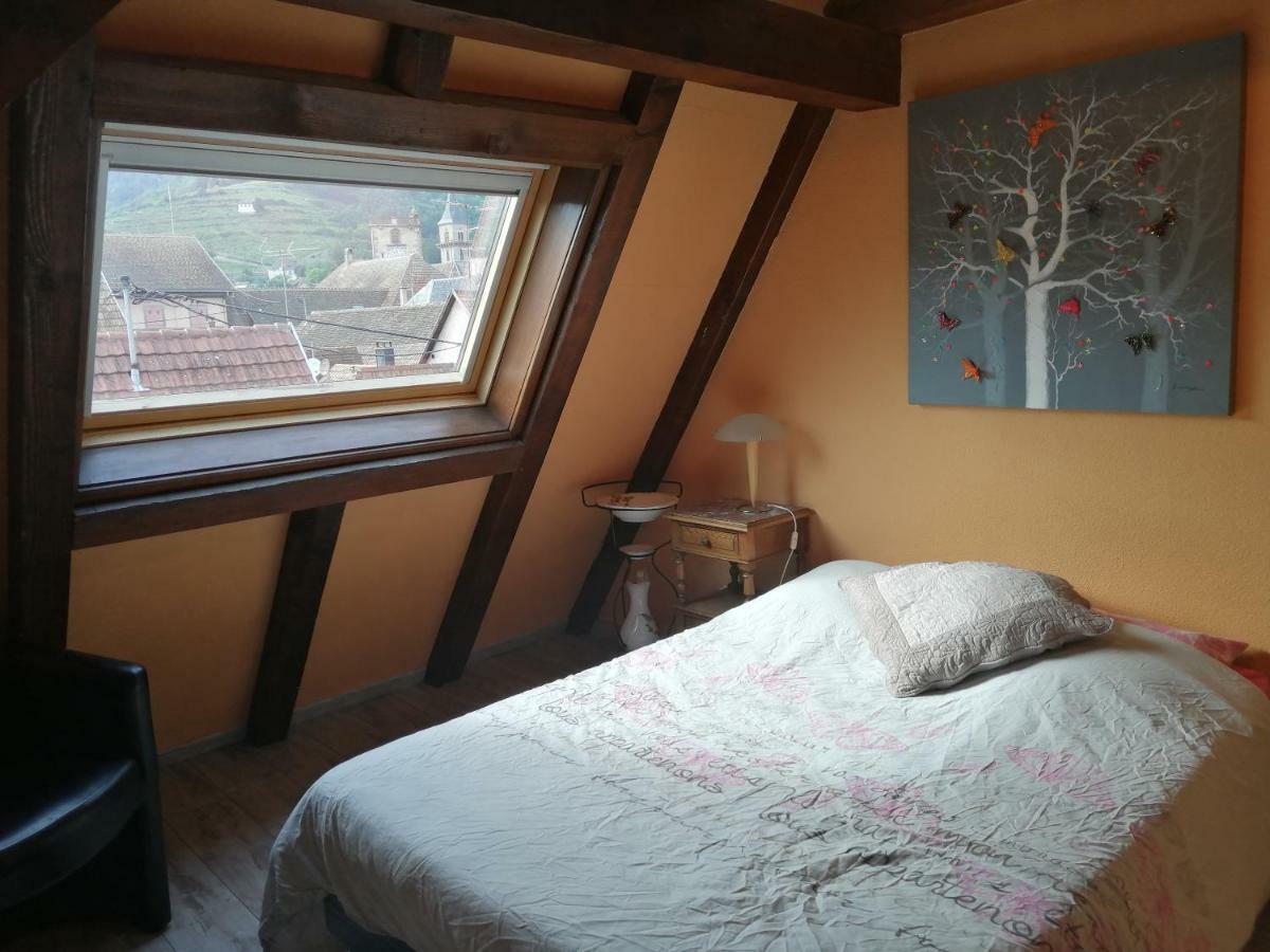 Gite Les Papillons Ribeauvillé Exteriér fotografie