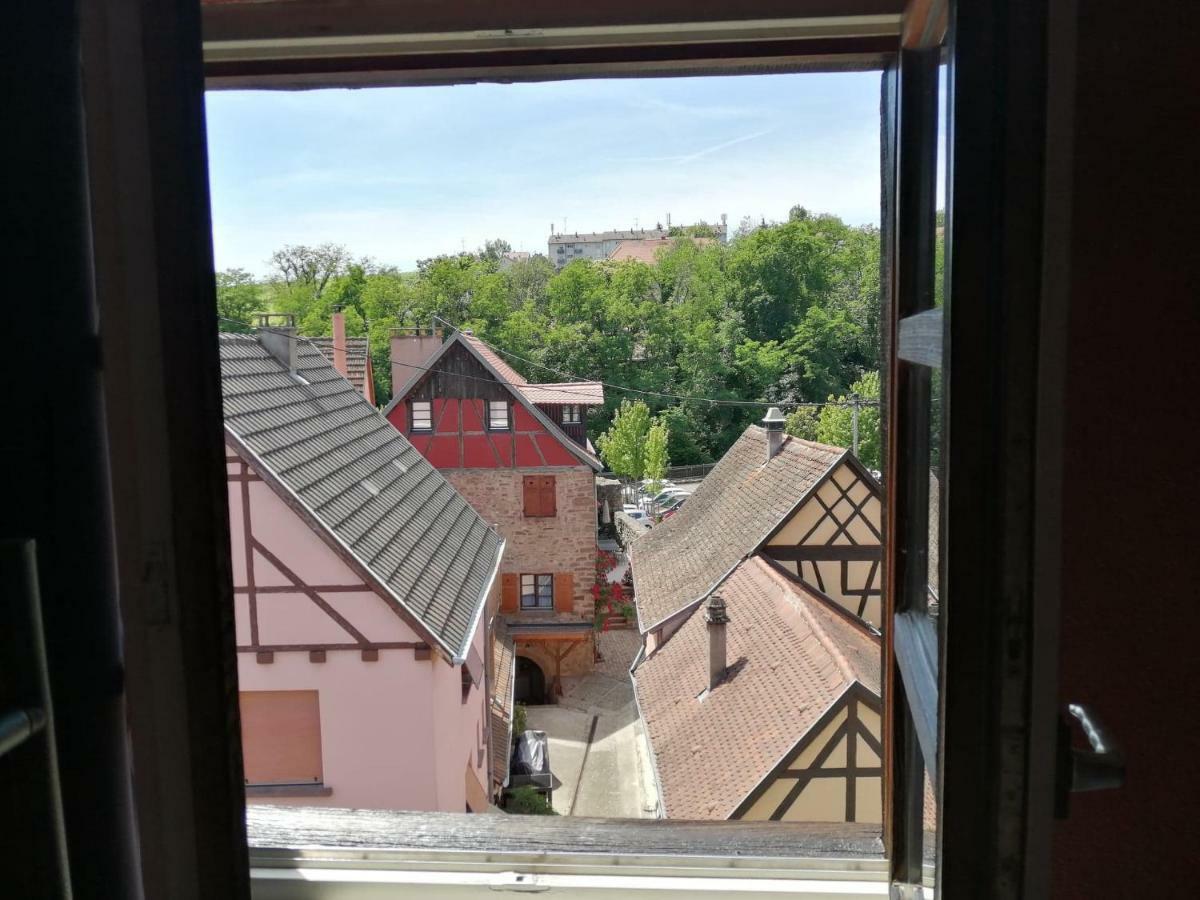 Gite Les Papillons Ribeauvillé Exteriér fotografie
